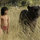 Disney's Jungle Book, which is not the one this article is about